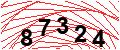 Güvenlik Kodu