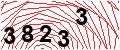 Güvenlik Kodu